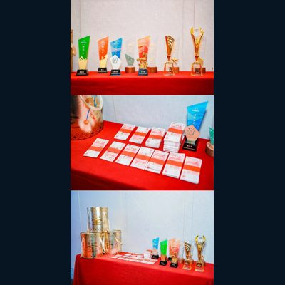 星芽荣誉分享图